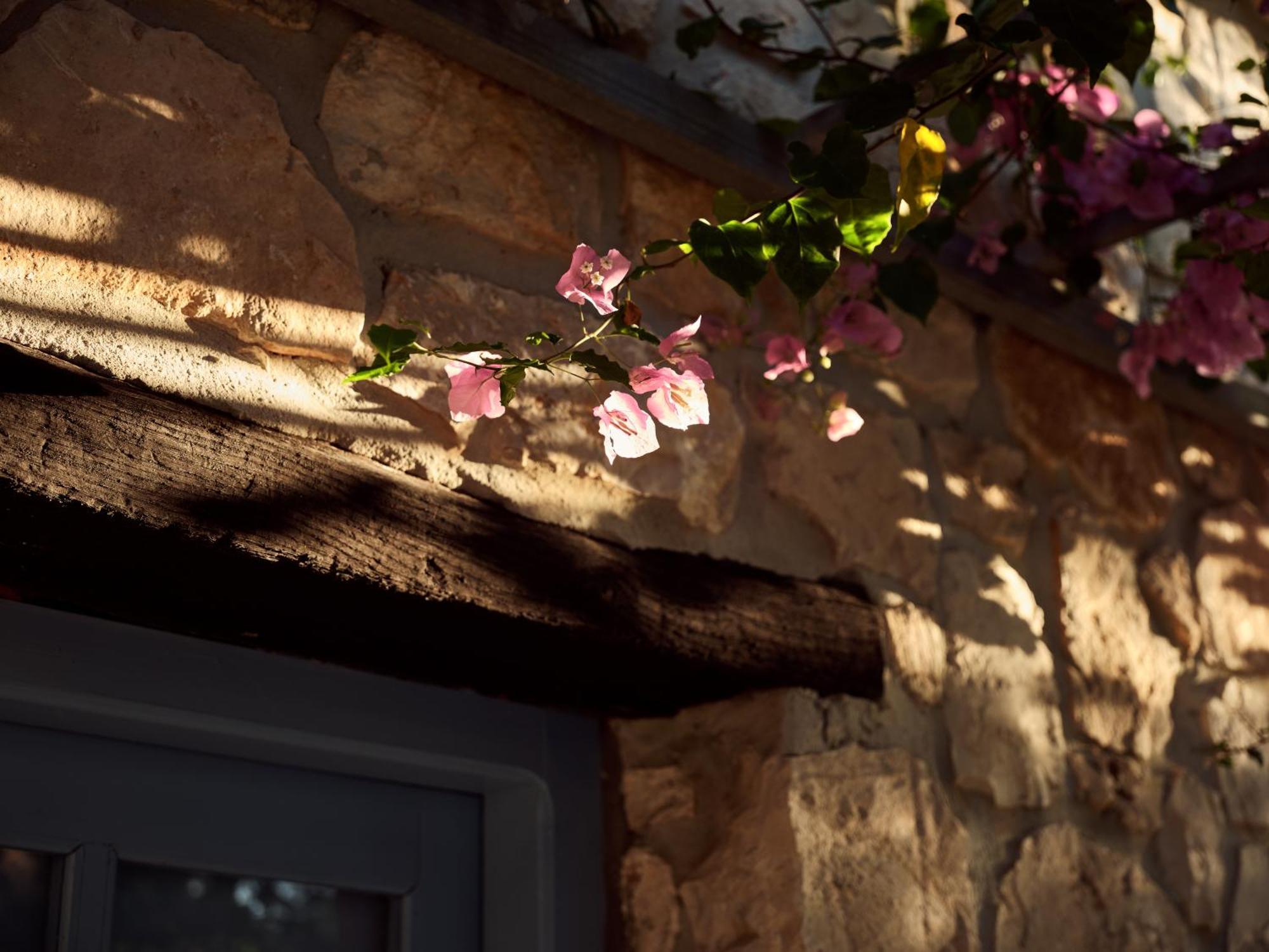 Strofilia Stone Residences Volimes Екстер'єр фото